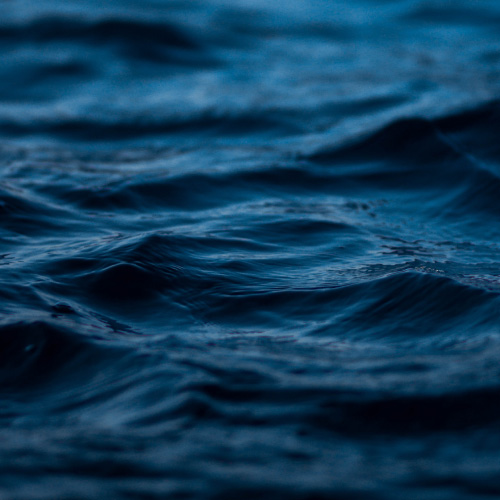 Into the Waters with Us