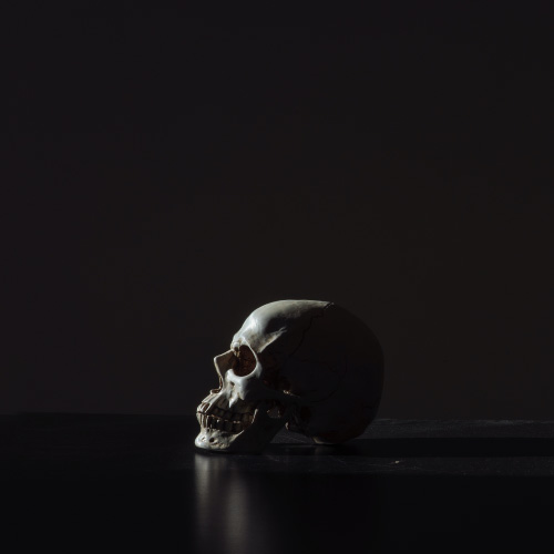 A Daring and Beautiful Duel Over Death