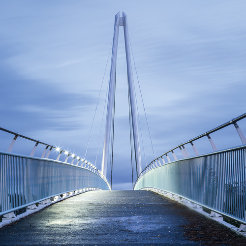 Introducing, The Bridge